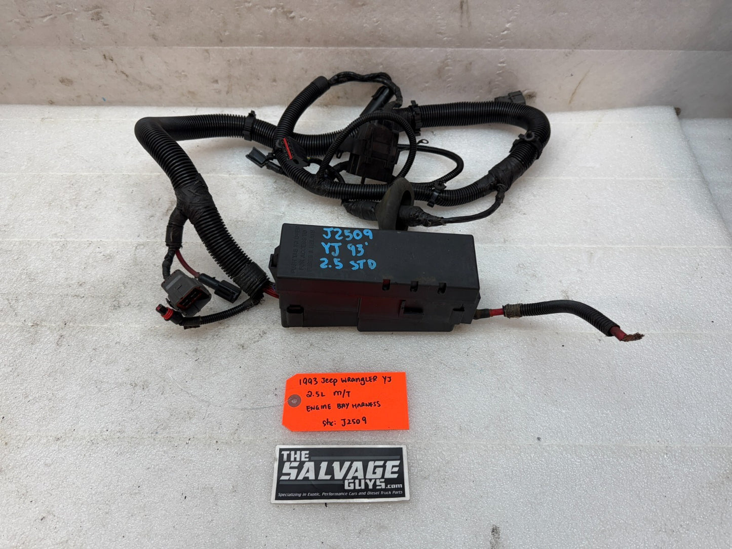 45487131