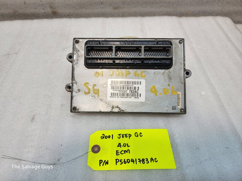 45488126