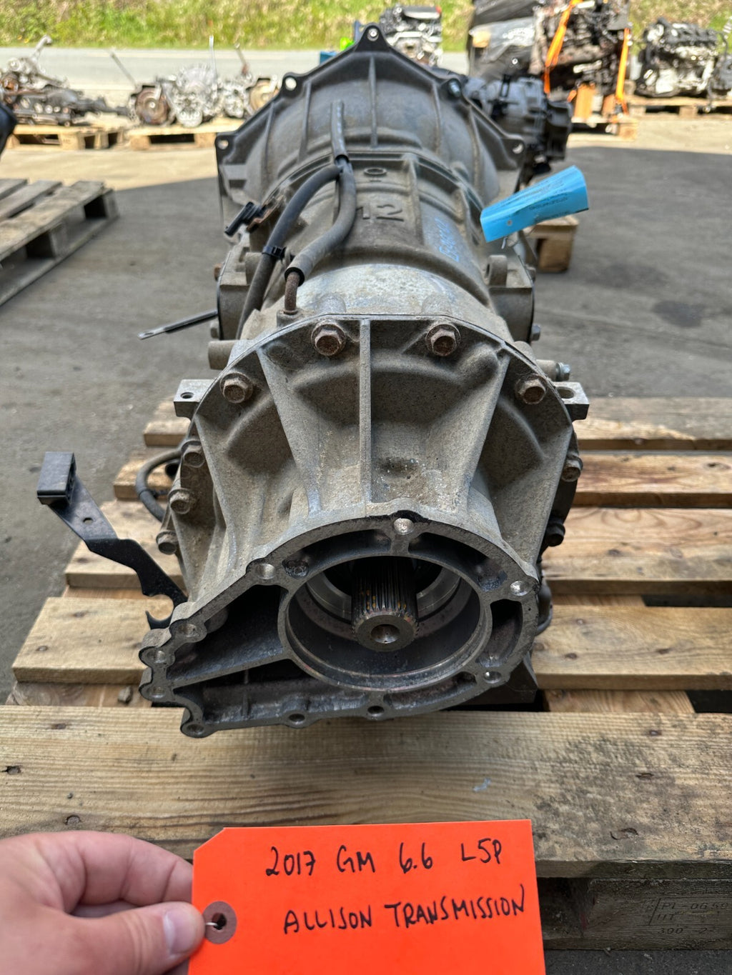 46072564