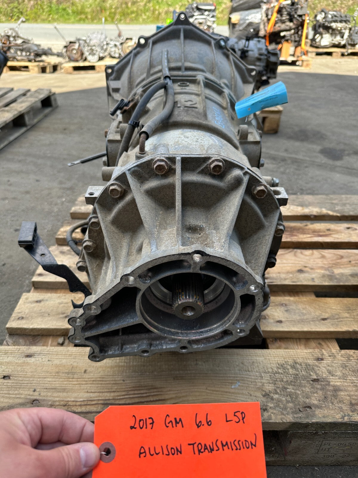 46072564