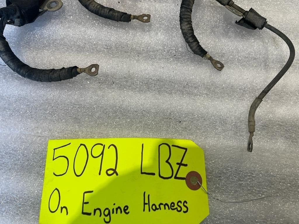 45488115