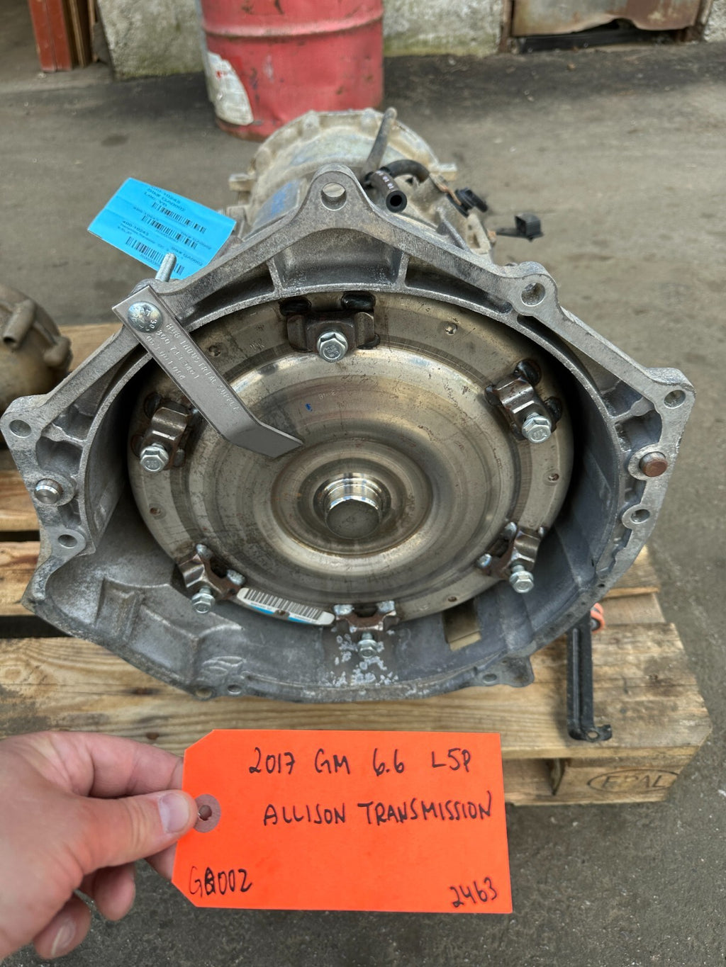 46072564