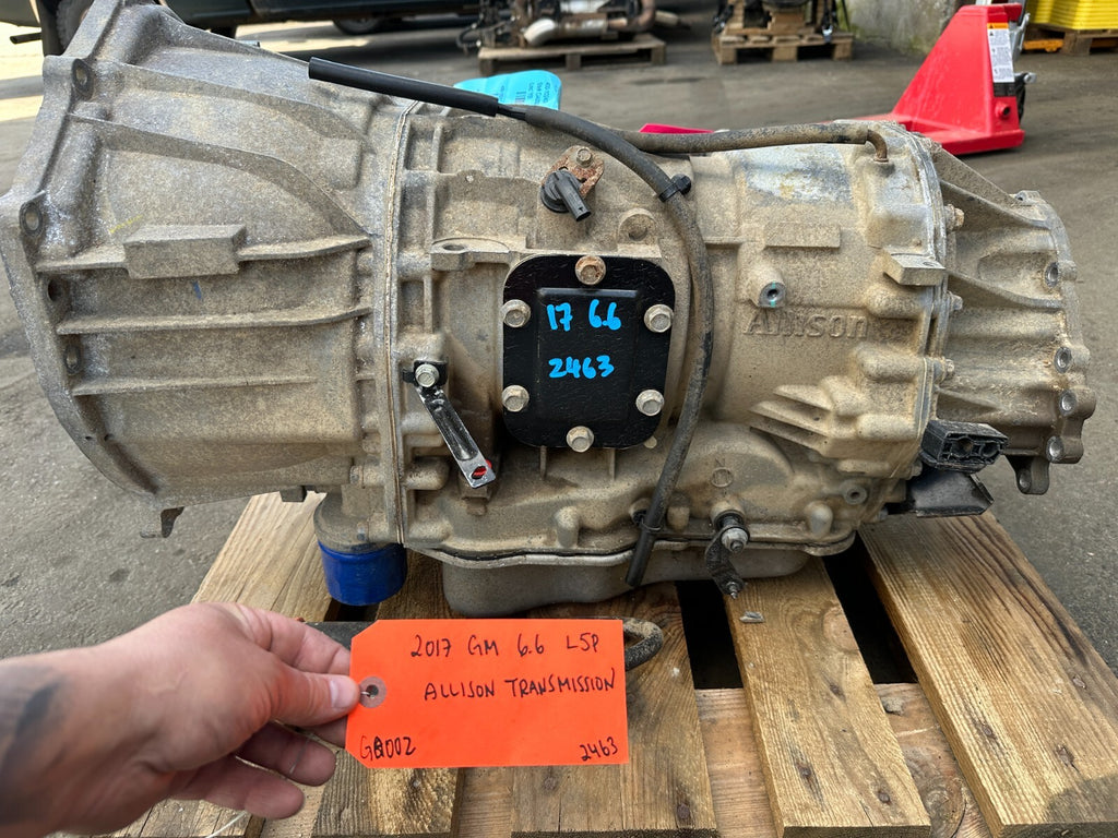46072564