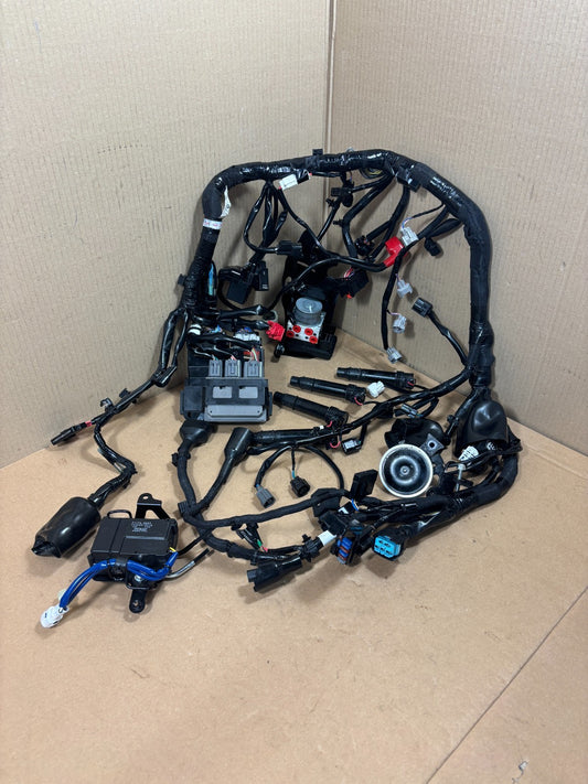 45527615