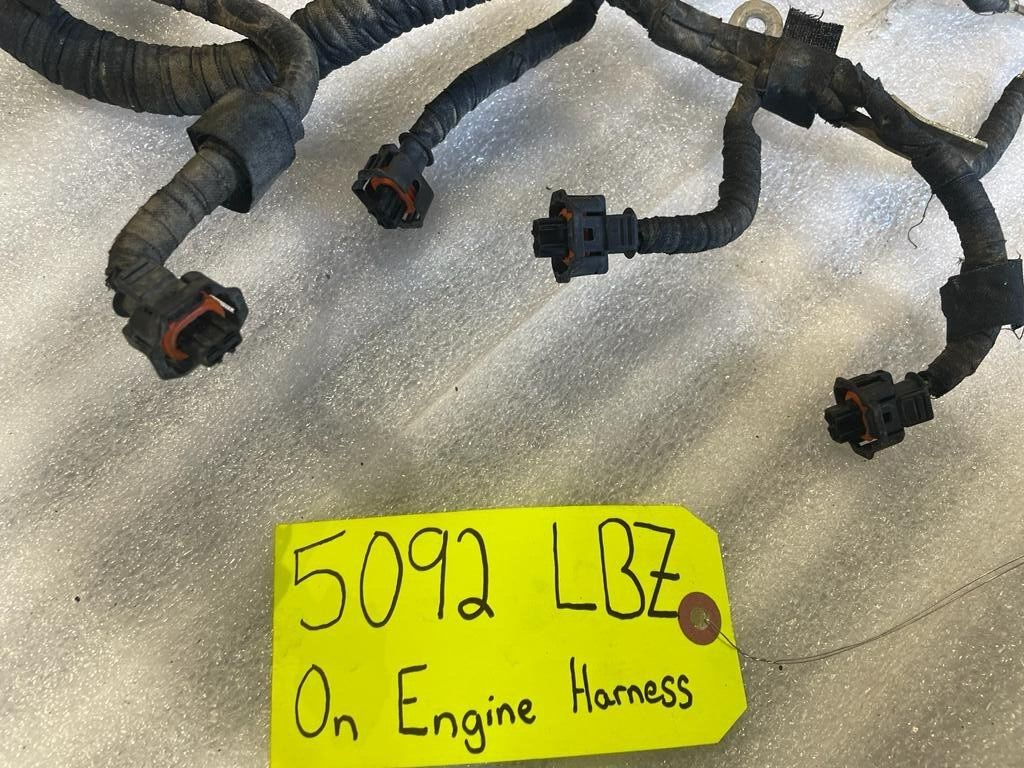 45488115