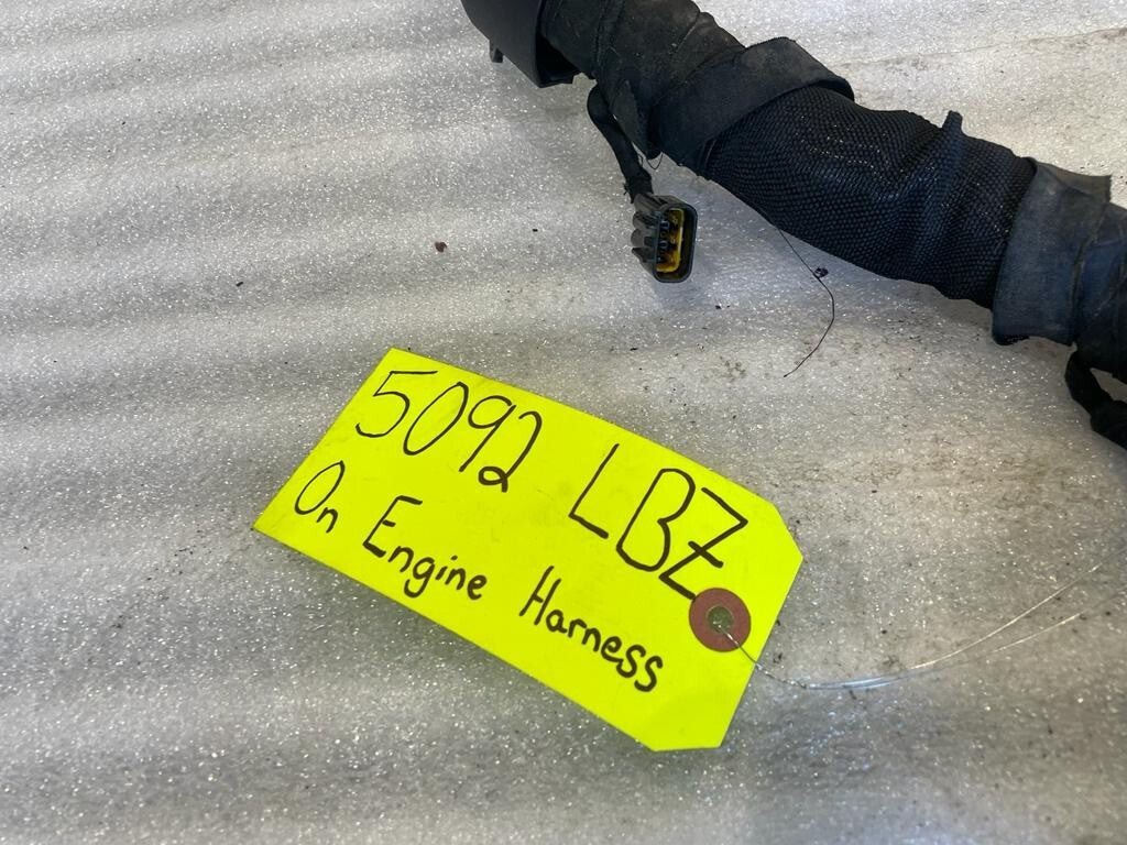 45488115