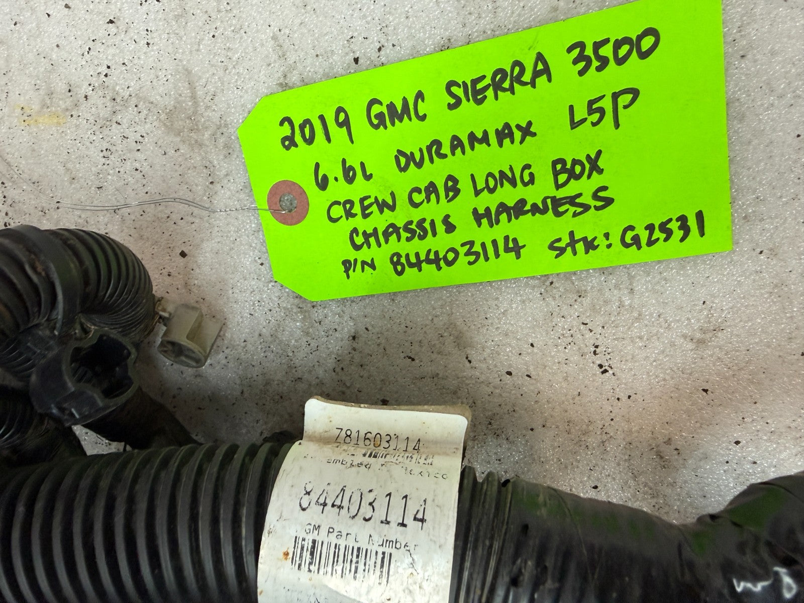 46609955