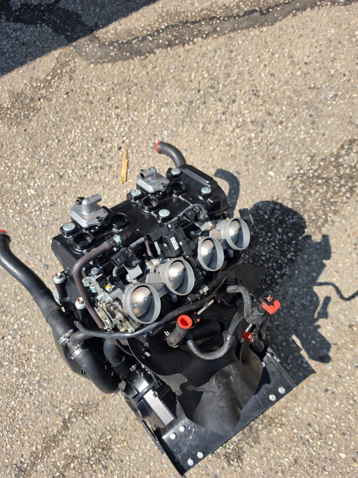 47706904