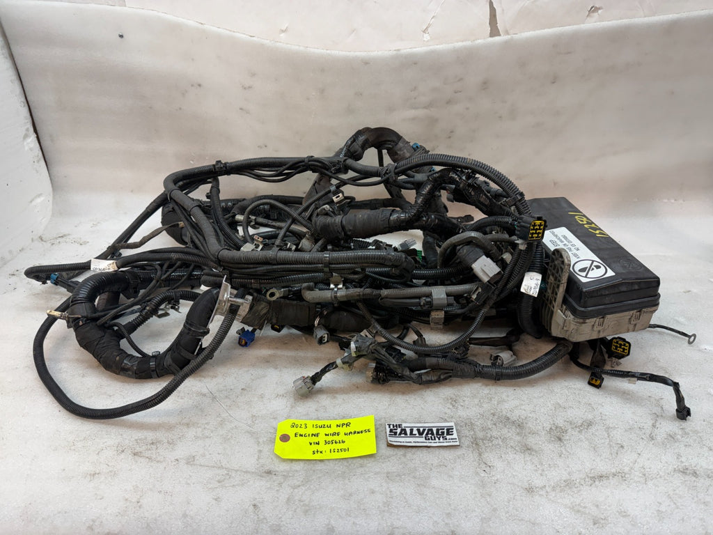 46408019