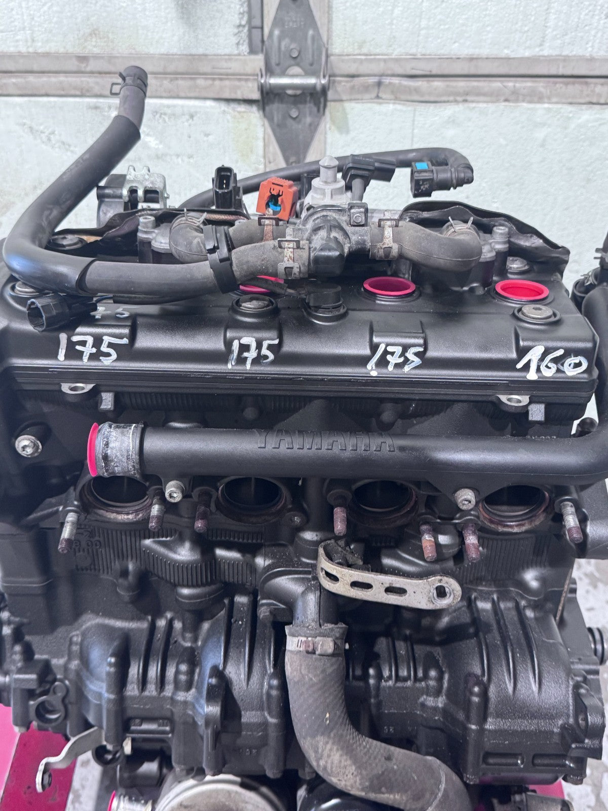 46049895