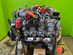 45487045