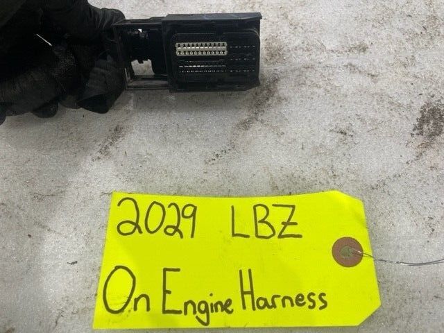 45487984