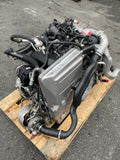 45488206