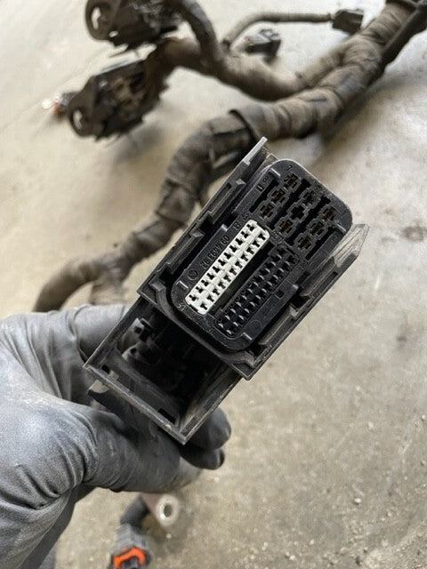 45488165