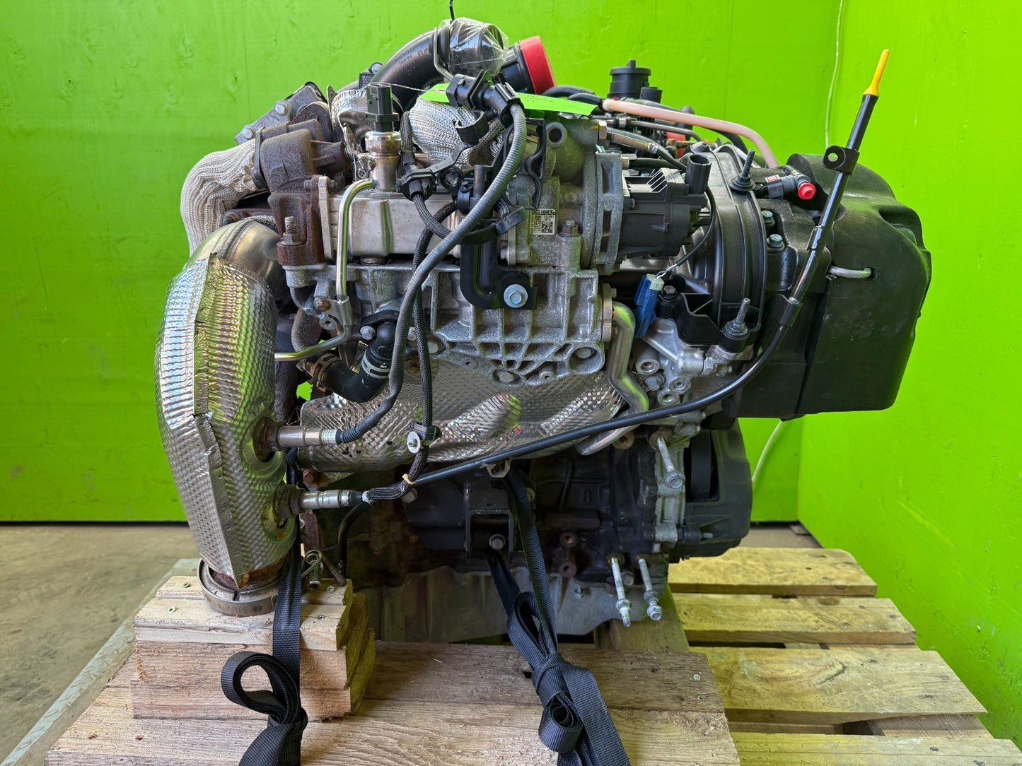 45902776