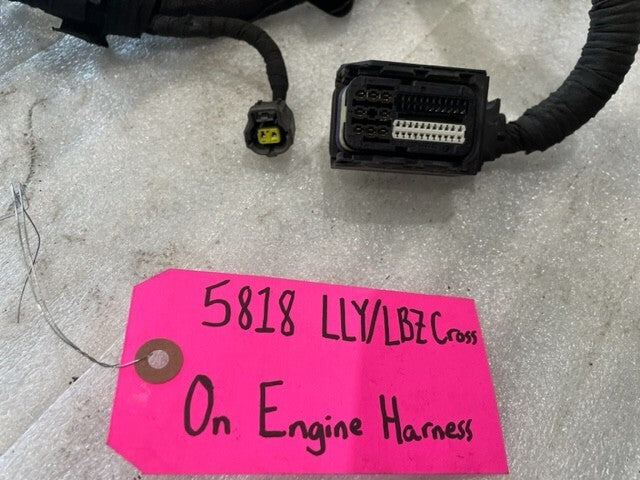 45488114