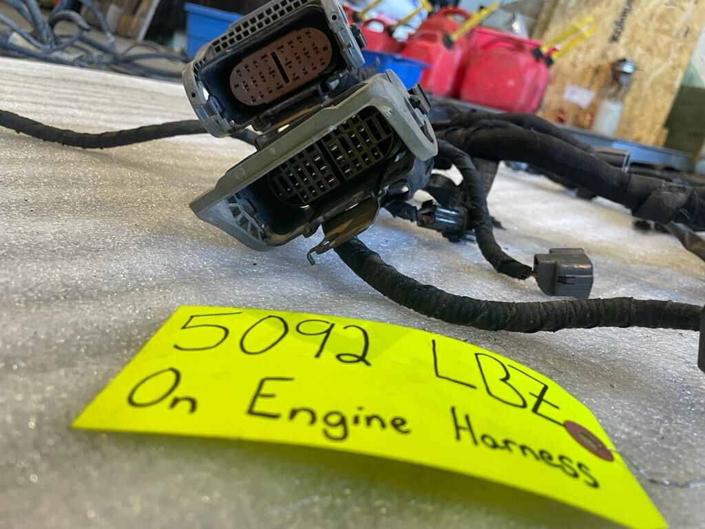 45488115