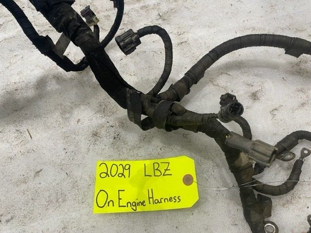 45487984