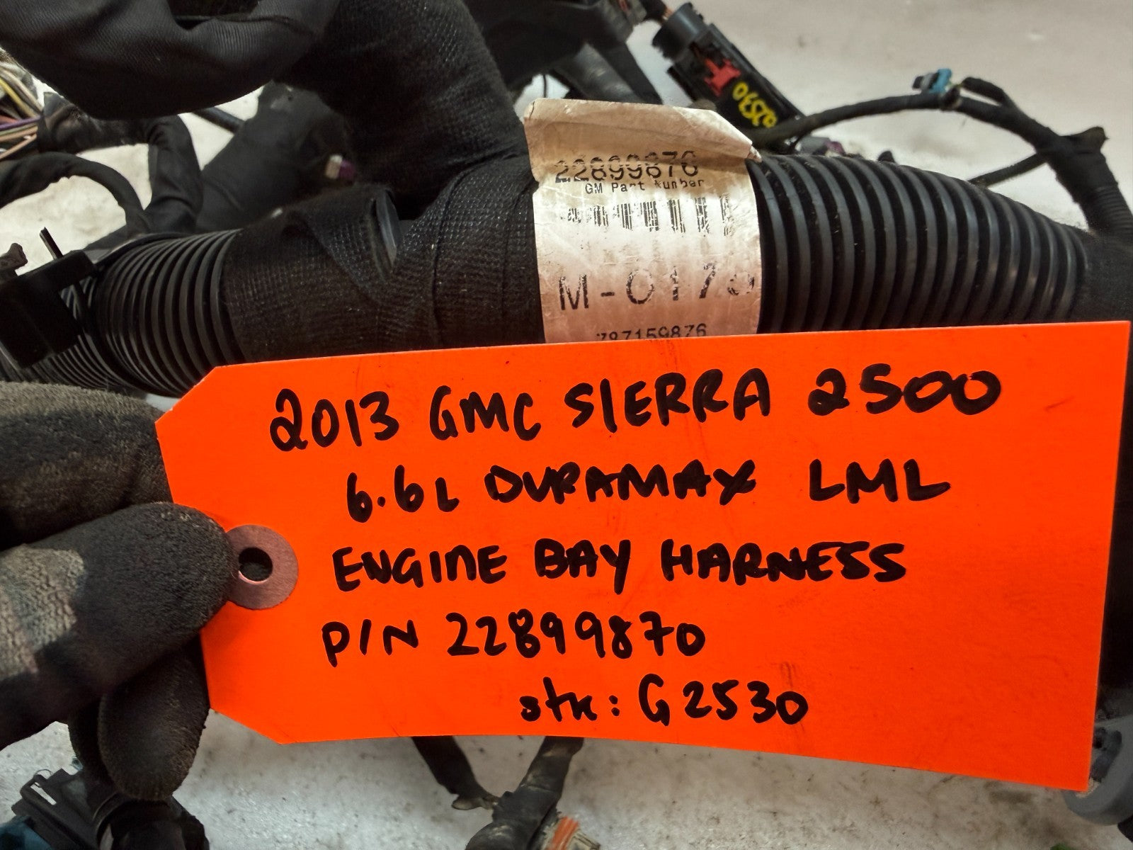 46339117