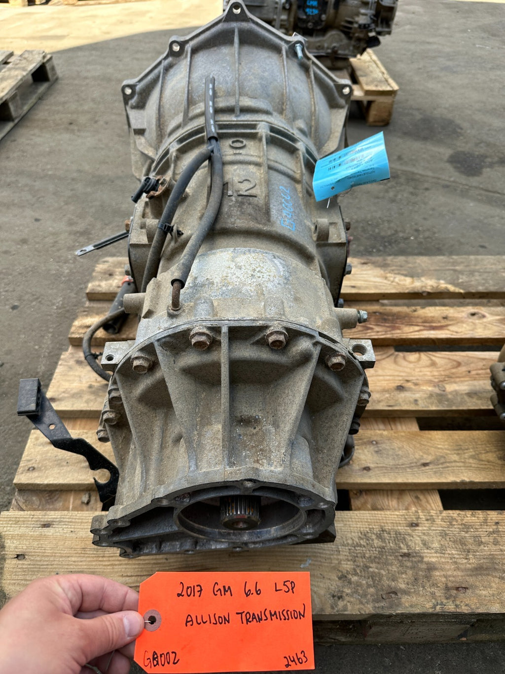 46072564