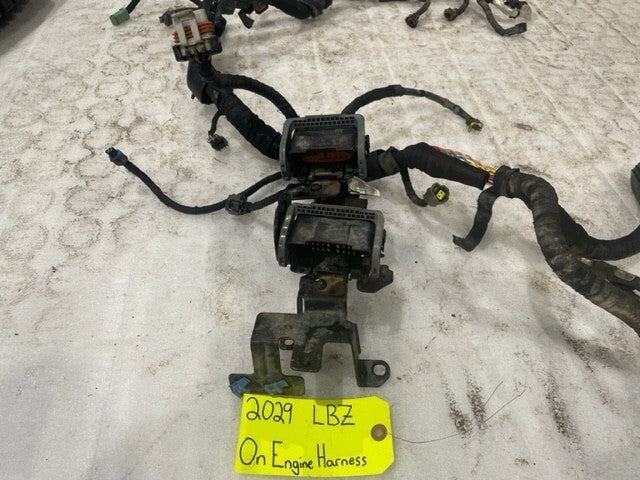 45487984