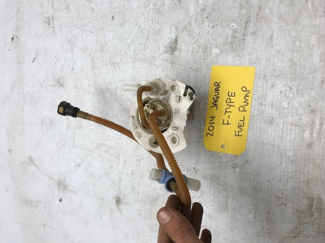 46071889