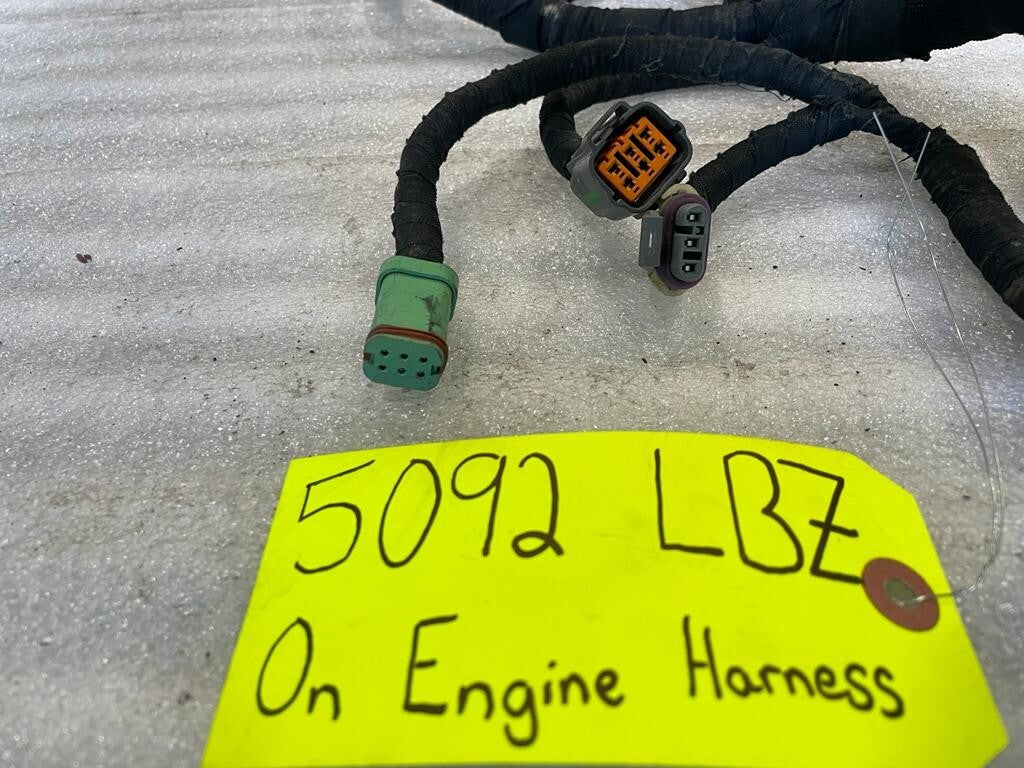 45488115