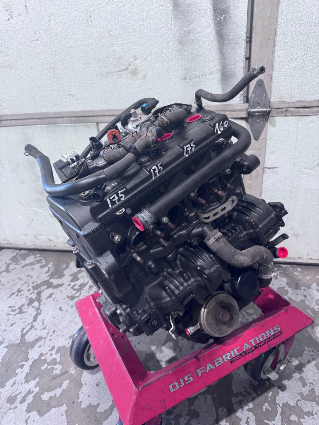 46049895