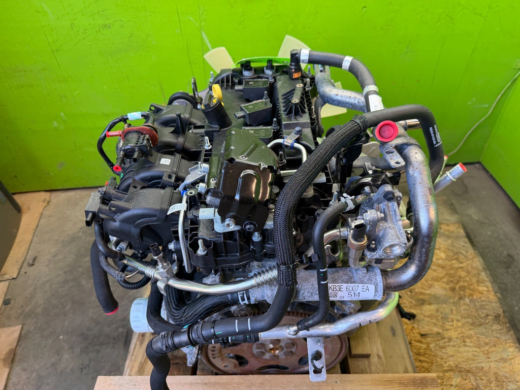 47898550