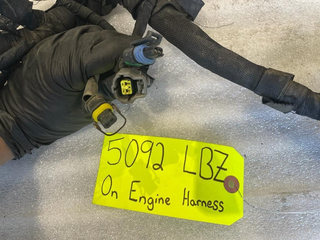 45488115