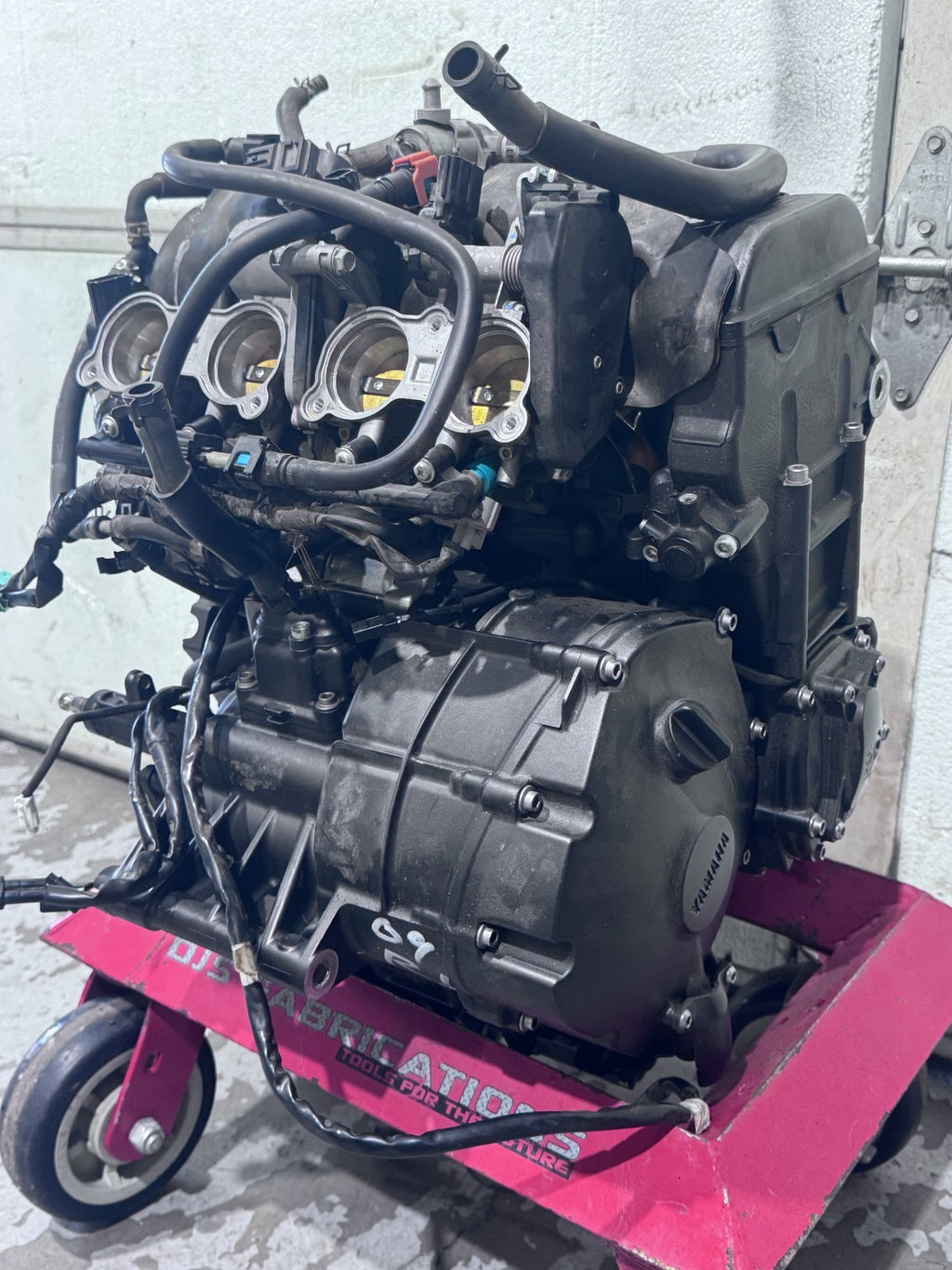 46049895