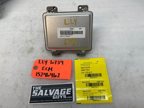 45488081