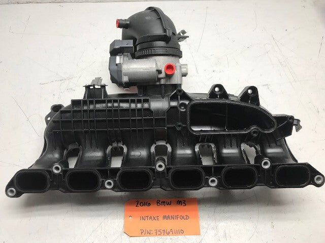 46072273