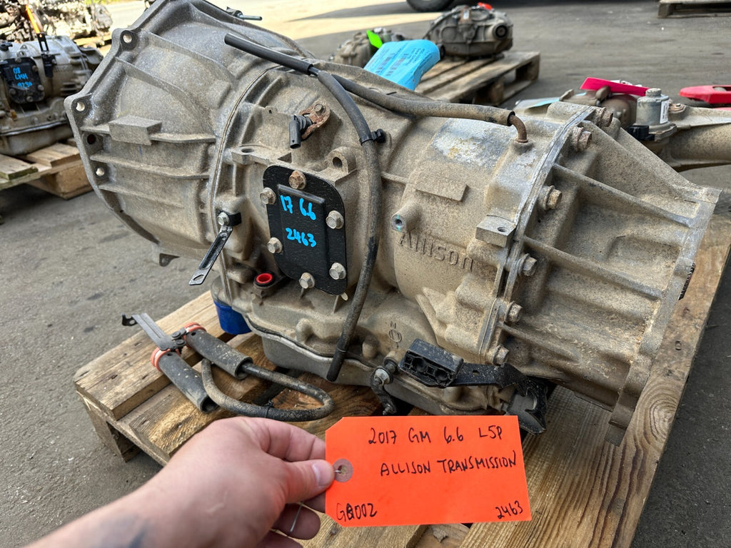 46072564