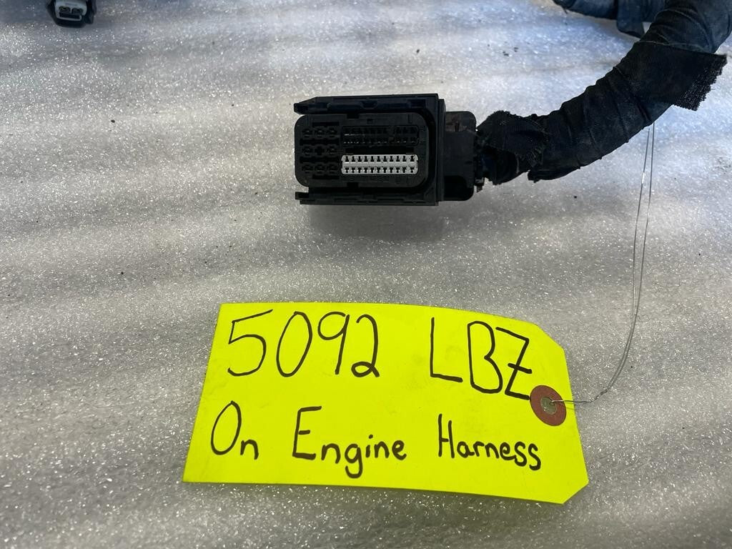 45488115