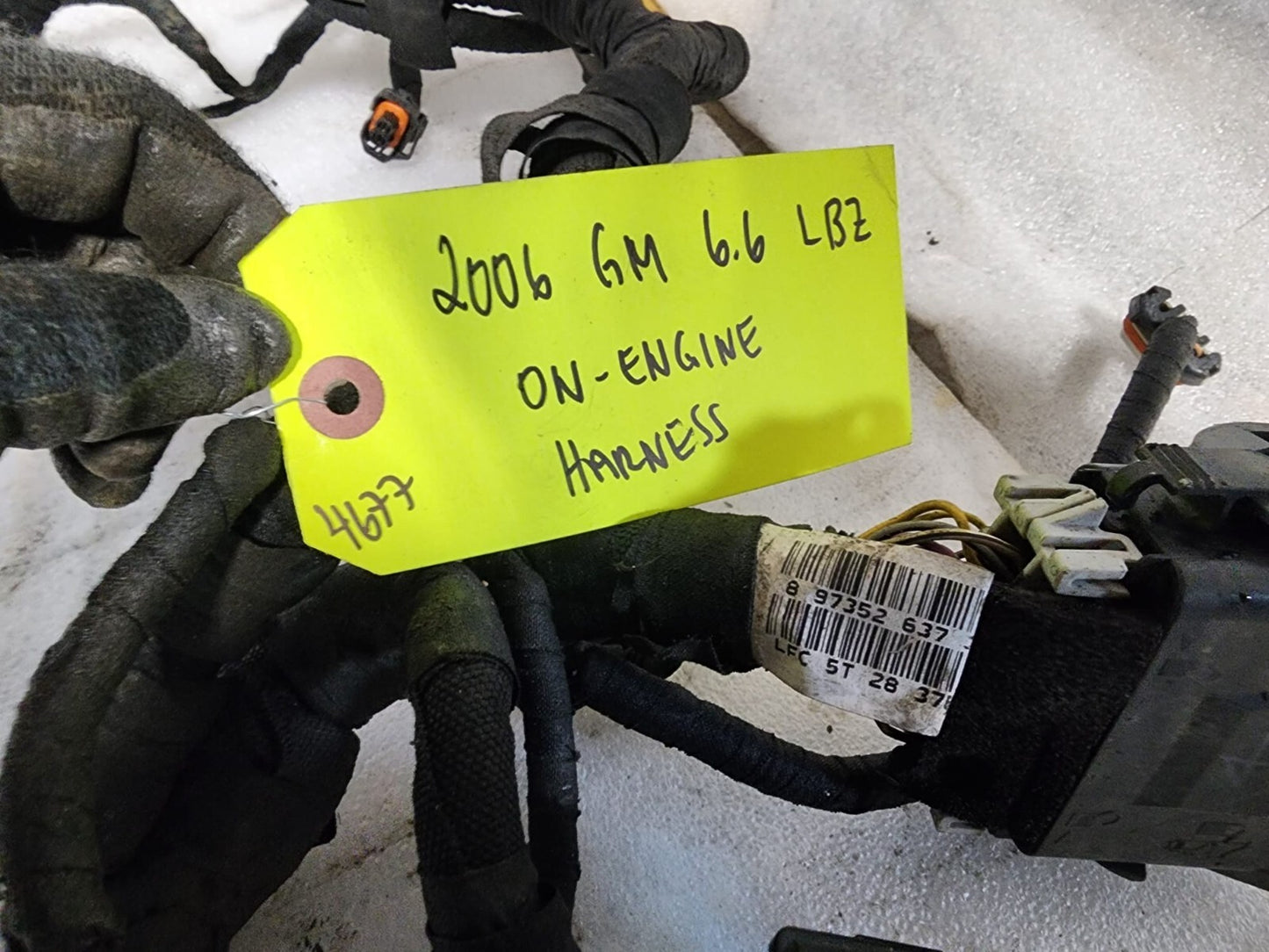 45488134