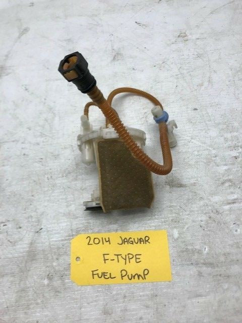46071889
