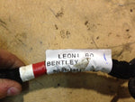 06-08 Bentley Flying Spur left rear door complete wiring harness loom 3w5971693a